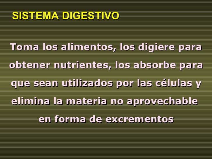Toma los alimentos, los digiere para obtener nutrientes, los absorbe para que sean utilizados por las células y elimina la...