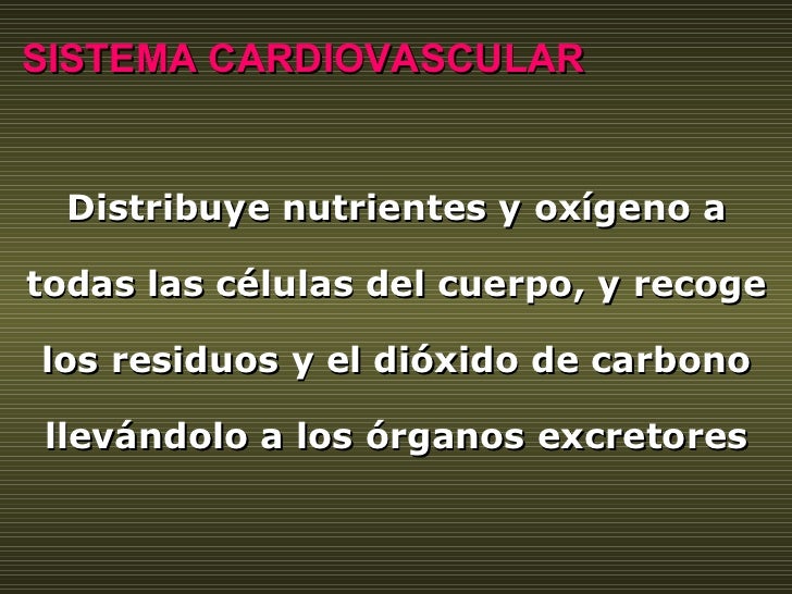 Distribuye nutrientes y oxígeno a todas las células del cuerpo, y recoge los residuos y el dióxido de carbono llevándolo a...