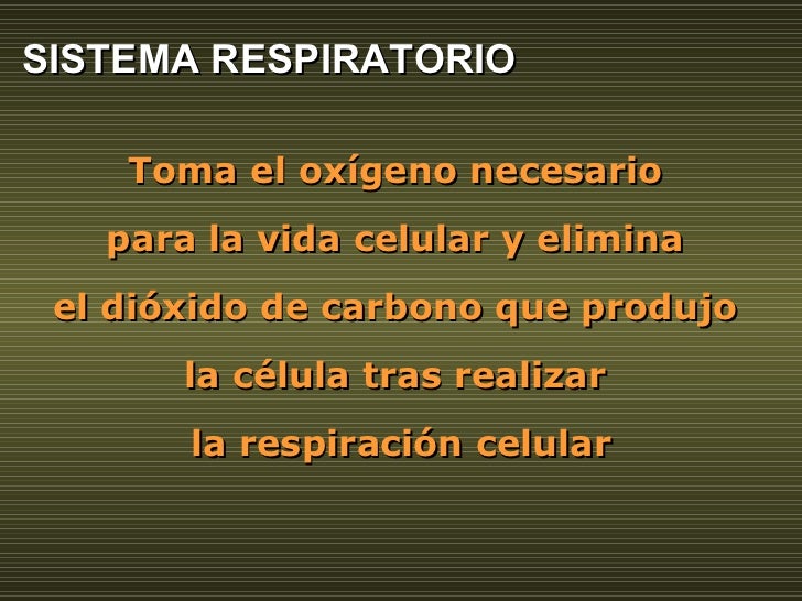 Toma el oxígeno necesario  para la vida celular y elimina  el dióxido de carbono que produjo  la célula tras realizar  la ...