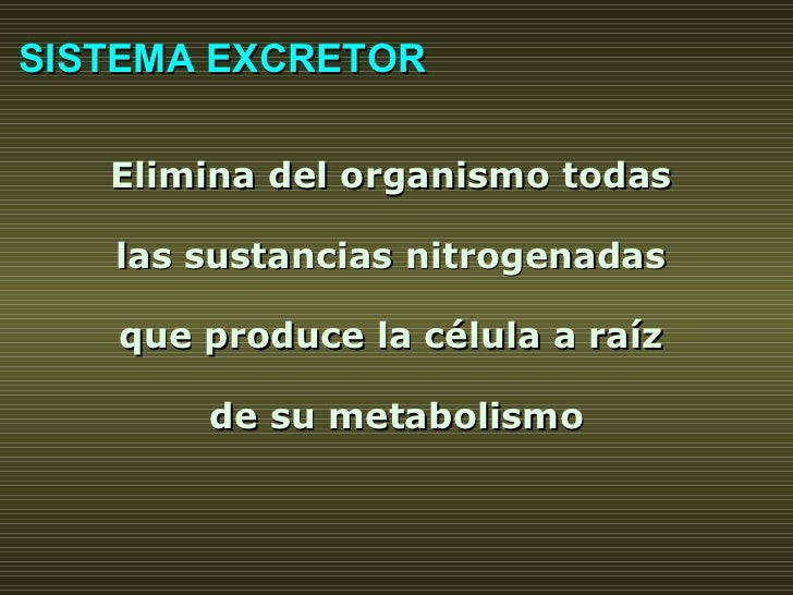 Elimina del organismo todas  las sustancias nitrogenadas  que produce la célula a raíz  de su metabolismo SISTEMA EXCRETOR 