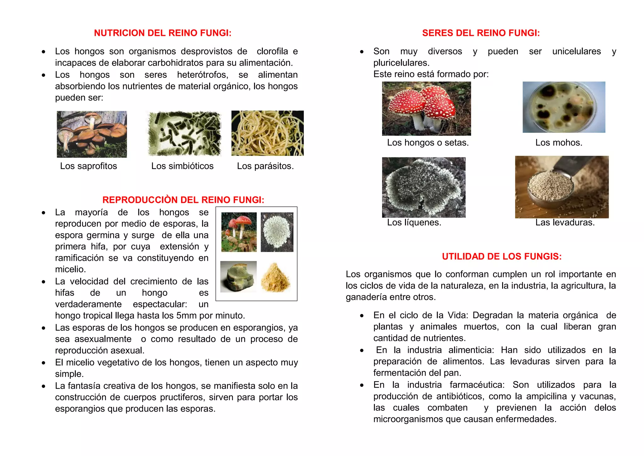 Nutricion del reino fungi | PDF
