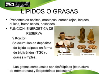 LÍPIDOS O GRASAS
• Presentes en aceites, mantecas, carnes rojas, lácteos,
dulces, frutos secos, pescados…
• FUNCIÓN: ENERGÉTICA DE
RESERVA
9 Kcal/gr
Se acumulan en depósitos
de tejido adiposo en forma
de triglicéridos (TGC) o
grasas simples.
Las grasas compuestas son fosfolípidos (estructura
de membranas) y lipoproteínas (colesterol)
 