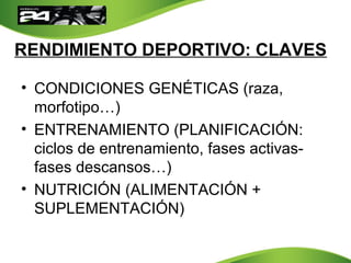 RENDIMIENTO DEPORTIVO: CLAVES
• CONDICIONES GENÉTICAS (raza,
morfotipo…)
• ENTRENAMIENTO (PLANIFICACIÓN:
ciclos de entrenamiento, fases activas-
fases descansos…)
• NUTRICIÓN (ALIMENTACIÓN +
SUPLEMENTACIÓN)
 
