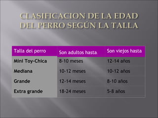 Talla del perro Son adultos hasta:
Son viejos hasta
Mini Toy-Chica 8-10 meses 12-14 años
Mediana 10-12 meses 10-12 años
Grande 12-14 meses 8-10 años
Extra grande 18-24 meses 5-8 años
 
