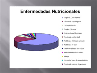 Enfermedades Nutricionales
Displasia Coxo femoral
Tendencia a sobrepeso
Càlculos renales
Torsiòn Gàstrica
Enfermedades Hepàticas
Tendencia a obesidad
Problemas del tracto urinario
Problemas de piel
Sìndrome de mala absorciòn
Almacenamiento de cobre
Alergia
Desarrollo lento de articulaciones
Tendencia a sobre alimentarse
 