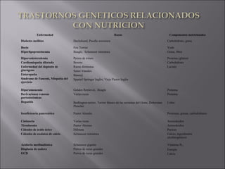 Enfermedad Razas Componentes nutricionales
Diabetes mellitus Dachshund, Poodle miniatura Carbohidrato, grasa
Bocio
Hiperlipoproteinemia
Fox Terrier
Beagle, Schanuzer miniatura
Yodo
Grasa, fibra
Hipercolesterolemia
Cardiomiopatìa dilatada
Enfermedad del depòsito de
glucògeno
Enteropatìa
Sìndrome de Fanconi, Miopatìa del
ejercicio
Perros de trineo
Boxers
Razas diminutas
Setter Irlandes
Basenji
Spaniel Springer Inglès, Viejo Pastor Inglès
Proteìna (gluten)
Carbohidrato
Lactato
Hiperamonemia
Derivaciones venosas
portosistèmicas
Hepatitis
Golden Retriever, Beagle
Varias razas
Bedlington terrier, Terrier blanco de las serranìas del Oeste, Doberman
Pinscher
Proteìna
Proteìna
Cobre
Insuficiencia pancreàtica Pastor Alemàn. Proteìnas, grasas, carbohidratos
Cistinuria
Tirosinemia
Càlculos de àcido ùrico
Càlculos de oxalatos de calcio
Varias razas
Pastor Aleman
Dàlmata
Schnauzer miniatura
Aminoàcidos
Aminoàcidos
Purinas
Calcio, ingredientes
alcalinogènicos
Aciduria metilmalònica
Displasia de cadera
OCD
Schnauzer gigante
Perros de razas grandes
Perros de razas grandes
Vitamina B12
Energìa
Calcio
 