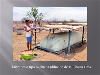 Taiwanes o tipo salchicha (dilución de 1:10 hasta 1:25).
 