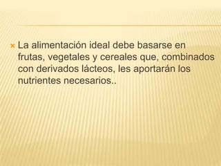 

La alimentación ideal debe basarse en
frutas, vegetales y cereales que, combinados
con derivados lácteos, les aportarán los
nutrientes necesarios..

 