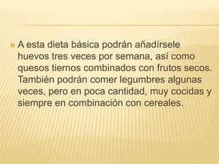

A esta dieta básica podrán añadírsele
huevos tres veces por semana, así como
quesos tiernos combinados con frutos secos.
También podrán comer legumbres algunas
veces, pero en poca cantidad, muy cocidas y
siempre en combinación con cereales.

 