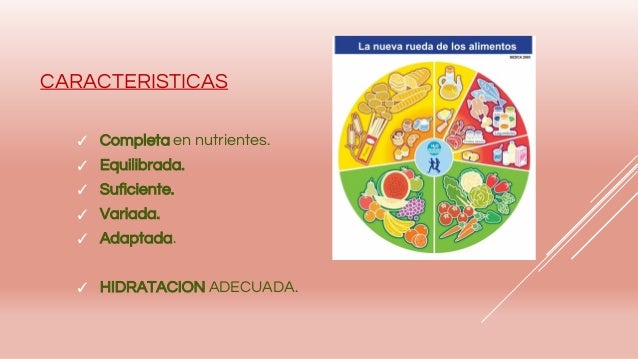 Nutricion Equilibrada De La Mujer Durante El Embarazo Y La