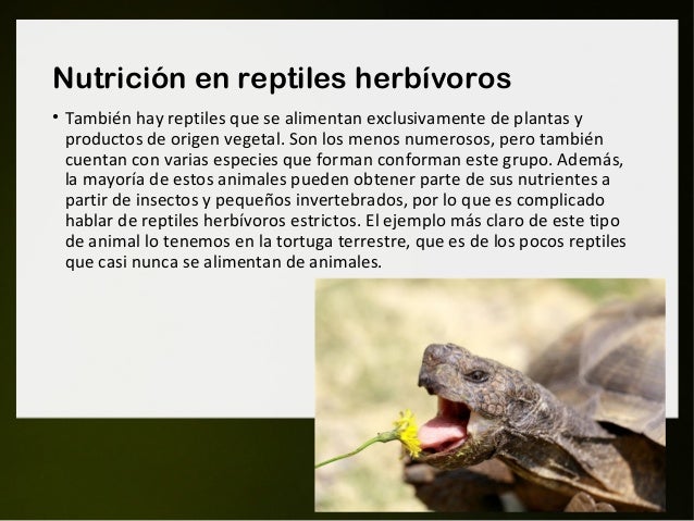 Nutricion De Los Reptiles - XIli