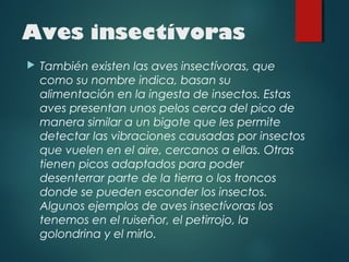 Aves insectívoras
 También existen las aves insectívoras, que
como su nombre indica, basan su
alimentación en la ingesta de insectos. Estas
aves presentan unos pelos cerca del pico de
manera similar a un bigote que les permite
detectar las vibraciones causadas por insectos
que vuelen en el aire, cercanos a ellas. Otras
tienen picos adaptados para poder
desenterrar parte de la tierra o los troncos
donde se pueden esconder los insectos.
Algunos ejemplos de aves insectívoras los
tenemos en el ruiseñor, el petirrojo, la
golondrina y el mirlo.
 