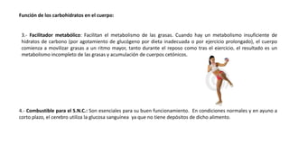 Función de los carbohidratos en el cuerpo:
3.- Facilitador metabólico: Facilitan el metabolismo de las grasas. Cuando hay un metabolismo insuficiente de
hidratos de carbono (por agotamiento de glucógeno por dieta inadecuada o por ejercicio prolongado), el cuerpo
comienza a movilizar grasas a un ritmo mayor, tanto durante el reposo como tras el ejercicio, el resultado es un
metabolismo incompleto de las grasas y acumulación de cuerpos cetónicos.
4.- Combustible para el S.N.C.: Son esenciales para su buen funcionamiento. En condiciones normales y en ayuno a
corto plazo, el cerebro utiliza la glucosa sanguínea ya que no tiene depósitos de dicho alimento.
 