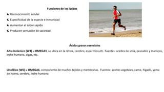 Funciones de los lípidos
 Reconocimiento celular
 Especificidad de la especie e inmunidad
 Aumentan el sabor sapido
 Producen sensación de saciedad
Ácidos grasos esenciales
Alfa-linolenico (W3) u OMEGA3, se ubica en la retina, cerebro, espermios,etc. Fuentes: aceites de soya, pescados y mariscos,
leche humana, algas, etc.
Linoléico (W6) u OMEGA6, componente de muchos tejidos y membranas. Fuentes: aceites vegetales, carne, hígado, yema
de huevo, cerebro, leche humana
 