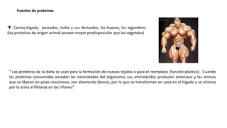 Fuentes de proteínas
 Carnes,hígado, pescados, leche y sus derivados, los huevos, las legumbres
(las proteínas de origen animal poseen mayor predisposición que las vegetales)
“ Las proteínas de la dieta se usan para la formación de nuevos tejidos o para el reemplazo (función plástica). Cuando
las proteínas consumidas exceden las necesidades del organismo, sus aminoácidos producen amoniaco y las aminas
que se liberan en estas reacciones, son altamente tóxicos, por lo que se transforman en urea en el hígado y se elimina
por la orina al filtrarse en los riñones”
 