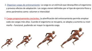 2. Organizar cargas de entrenamiento: La carga es un estímulo que desequilibra al organismo
y provoca efectos de adaptación. Las cargas vienen definidas por el tipo de ejercicio físico y
otros parámetros como: volumen e intensidad
3. Cargas progresivamente crecientes: La planificación del entrenamiento permite emplear
cada vez cargas más altas. Cuando el organismo se recupera, se adapta y aumenta su nivel
morfo – funcional, pudiendo ser mayor la siguiente carga.
 