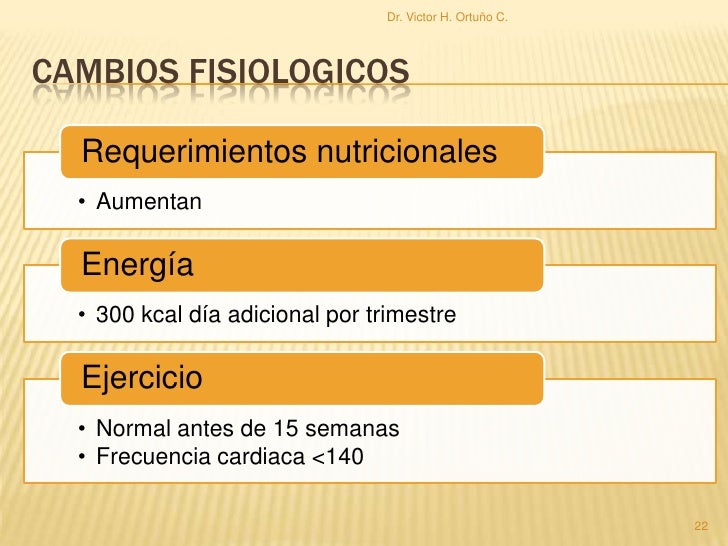 Nutricion En El Embarazo