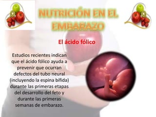 El ácido fólico
Estudios recientes indican
que el ácido fólico ayuda a
prevenir que ocurran
defectos del tubo neural
(incluyendo la espina bífida)
durante las primeras etapas
del desarrollo del feto y
durante las primeras
semanas de embarazo.
 