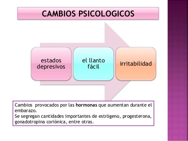 Nutricion En El Embarazo Aspectos Fisiologicos