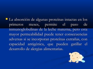  La absorción de algunas proteínas intactas en losLa absorción de algunas proteínas intactas en los
primeros meses, permite el paso deprimeros meses, permite el paso de
inmunoglobulinas de la leche materna, pero estainmunoglobulinas de la leche materna, pero esta
mayor permeabilidad puede tener consecuenciasmayor permeabilidad puede tener consecuencias
adversas si se incorporan proteínas extrañas, conadversas si se incorporan proteínas extrañas, con
capacidad antigénica, que pueden gatillar elcapacidad antigénica, que pueden gatillar el
desarrollo de alergias alimentarias.desarrollo de alergias alimentarias.
 