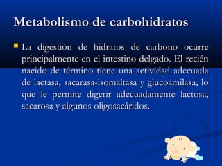 Metabolismo de carbohidratosMetabolismo de carbohidratos
 La digestión de hidratos de carbono ocurreLa digestión de hidratos de carbono ocurre
principalmente en el intestino delgado. El reciénprincipalmente en el intestino delgado. El recién
nacido de término tiene una actividad adecuadanacido de término tiene una actividad adecuada
de lactasa, sacarasa-isomaltasa y glucoamilasa, lode lactasa, sacarasa-isomaltasa y glucoamilasa, lo
que le permite digerir adecuadamente lactosa,que le permite digerir adecuadamente lactosa,
sacarosa y algunos oligosacáridos.sacarosa y algunos oligosacáridos.
 