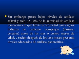  Sin embargo posee bajos niveles de amilasaSin embargo posee bajos niveles de amilasa
salival y sólo un 10% de la actividad de amilasasalival y sólo un 10% de la actividad de amilasa
pancreática lo que limita la capacidad para digerirpancreática lo que limita la capacidad para digerir
hidratos de carbono complejos (harinas,hidratos de carbono complejos (harinas,
cereales) antes de los tres ó cuatro meses decereales) antes de los tres ó cuatro meses de
edad, y recién después de los seis meses presentaedad, y recién después de los seis meses presenta
niveles adecuados de amilasa pancreática.niveles adecuados de amilasa pancreática.
 