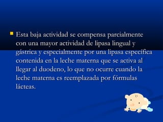  Esta baja actividad se compensa parcialmenteEsta baja actividad se compensa parcialmente
con una mayor actividad de lipasa lingual ycon una mayor actividad de lipasa lingual y
gástrica y especialmente por una lipasa específicagástrica y especialmente por una lipasa específica
contenida en la leche materna que se activa alcontenida en la leche materna que se activa al
llegar al duodeno, lo que no ocurre cuando lallegar al duodeno, lo que no ocurre cuando la
leche materna es reemplazada por fórmulasleche materna es reemplazada por fórmulas
lácteas.lácteas.
 