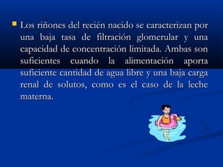  Los riñones del recién nacido se caracterizan porLos riñones del recién nacido se caracterizan por
una baja tasa de filtración glomerular y unauna baja tasa de filtración glomerular y una
capacidad de concentración limitada. Ambas soncapacidad de concentración limitada. Ambas son
suficientes cuando la alimentación aportasuficientes cuando la alimentación aporta
suficiente cantidad de agua libre y una baja cargasuficiente cantidad de agua libre y una baja carga
renal de solutos, como es el caso de la lecherenal de solutos, como es el caso de la leche
materna.materna.
 