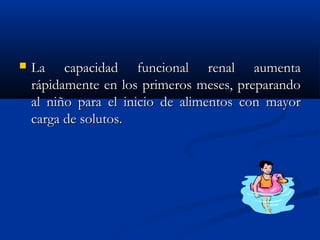  La capacidad funcional renal aumentaLa capacidad funcional renal aumenta
rápidamente en los primeros meses, preparandorápidamente en los primeros meses, preparando
al niño para el inicio de alimentos con mayoral niño para el inicio de alimentos con mayor
carga de solutos.carga de solutos.
 