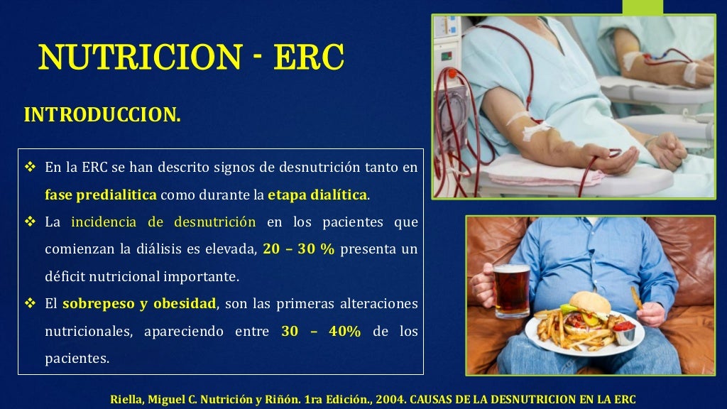La Alimentacion En La Enfermedad Renal Cronica Libro NUTRICIÓN EN ENFERMEDAD RENAL CRONICA