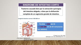 Fall Intestinal NUTRICIÓN EN FALLA INTESTINAL medicina | PDF