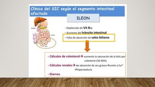 Fall Intestinal NUTRICIÓN EN FALLA INTESTINAL medicina | PDF