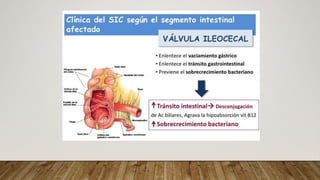 Fall Intestinal NUTRICIÓN EN FALLA INTESTINAL medicina | PDF