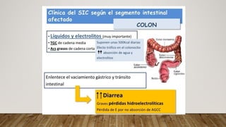 Fall Intestinal NUTRICIÓN EN FALLA INTESTINAL medicina | PDF