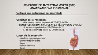 Fall Intestinal NUTRICIÓN EN FALLA INTESTINAL medicina | PDF