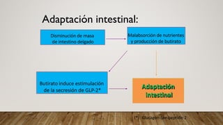 Fall Intestinal NUTRICIÓN EN FALLA INTESTINAL medicina | PDF