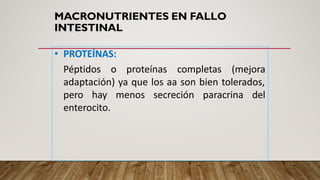 Fall Intestinal NUTRICIÓN EN FALLA INTESTINAL medicina | PDF
