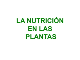 LA NUTRICIÓN
EN LAS
PLANTAS
 