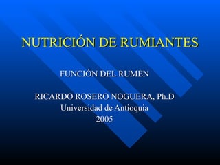 NUTRICIÓN DE RUMIANTES FUNCIÓN DEL RUMEN RICARDO ROSERO NOGUERA, Ph.D Universidad de Antioquia 2005 