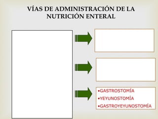 Nutrición enteral
oral.
Por sonda
nasogástrica o
nasoentérica.
 Por ostomías con
infusión en estómago o
intestino Delgado.
VÍAS DE ADMINISTRACIÓN DE LA
NUTRICIÓN ENTERAL
ALIMENTACIÓN POR
BOCA SIN OTRO
DISPOSITIVO
AGREGADO
•GASTROSTOMÍA
•YEYUNOSTOMÍA
•GASTROYEYUNOSTOMÍA
•NASOGÁSTRICA
•NASODUODENAL
•NASOYEYUNAL
 