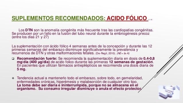 Qué Es El Cuerpo Lúteo