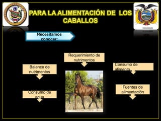 Necesitamos
conocer:

Requerimiento de
nutrimentos
Balance de
nutrimentos

Consumo de
agua

Consumo de
alimento

Fuentes de
alimentación

 