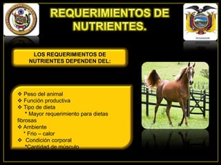 LOS REQUERIMIENTOS DE
NUTRIENTES DEPENDEN DEL:

 Peso del animal
 Función productiva
 Tipo de dieta
* Mayor requerimiento para dietas
fibrosas
 Ambiente
* Frio – calor
 Condición corporal
*Cantidad de músculo

 