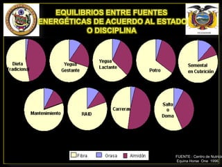 FUENTE : Centro de Nutrició
Equina Horse One 1996

 