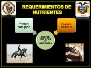 Primera
categoría

Segunda
categoría

EXISTEN
DOS TIPOS
DE
NUTRIENTES

 