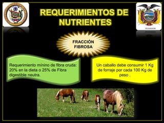 FRACCIÓN
FIBROSA

Requerimiento mínino de fibra cruda:
20% en la dieta o 25% de Fibra
digestible neutra.

Un caballo debe consumir 1 Kg
de forraje por cada 100 Kg de
peso .

 