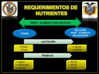 HENO - ALIMENTO BALANCEADO
RELACIÓN
HENO : ALIMENTO
BALANCEADO

ETAPA
LACTACIÓN
Inicio
Final

 50:50
 65:35
TRABAJO

 Ligero
 Moderado
 Intenso

 65:35
 50:50
 35:65

 