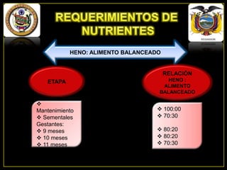 HENO: ALIMENTO BALANCEADO

RELACIÓN
ETAPA


Mantenimiento
 Sementales
Gestantes:
 9 meses
 10 meses
 11 meses

HENO :
ALIMENTO
BALANCEADO

 100:00
 70:30
 80:20
 80:20
 70:30

 