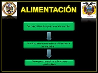 Son las diferentes prácticas alimenticias.

Es como se suministran los alimentos a
los caballos.

Sirve para cumplir sus funciones
productivas.

 