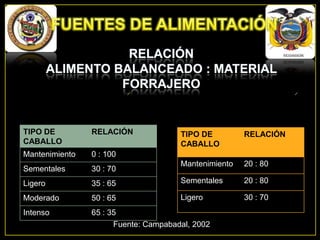 TIPO DE
CABALLO

RELACIÓN

Mantenimiento

0 : 100

Sementales

30 : 70

Ligero

TIPO DE
CABALLO

RELACIÓN

Mantenimiento

20 : 80

35 : 65

Sementales

20 : 80

Moderado

50 : 65

Ligero

30 : 70

Intenso

65 : 35
Fuente: Campabadal, 2002

 